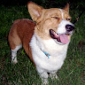 Meet your Posher, Brenda